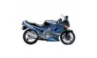 Großhandel 1998-2003 Kawasaki ZZR600 Verkleidung