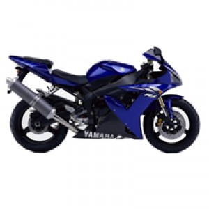 Großhandel 2002-2003 Yamaha R1 Verkleidung
