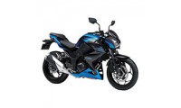 Großhandel 2015-2016 Kawasaki Z250/Z300 Verkleidung