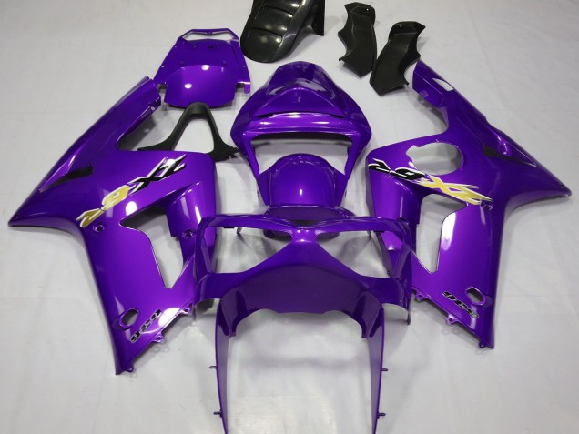 Großhandel Kawasaki ZX6R Motorrad Verkleidung 2003-2004 - Lila