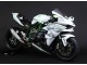 Großhandel Kawasaki Ninja H2 Motorrad Verkleidung 2015-2022 - Weiss Silber Grun