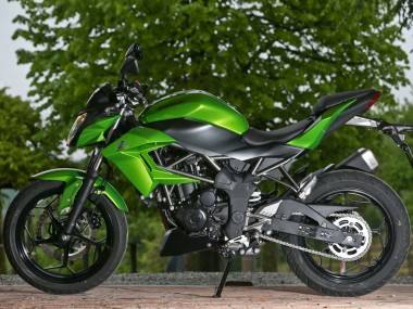 Großhandel Kawasaki Z250/Z300 Motorrad Verkleidung 2015-2016 - Grun Matt Schwarz