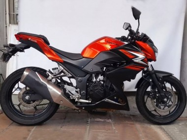 Großhandel Kawasaki Z250/Z300 Motorrad Verkleidung 2015-2016 - Orange Rot Matt Schwarz