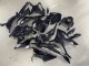 Großhandel BMW S1000RR Motorrad Verkleidung 2023-2024 - Glanzendes Schwarz Carbonfaser