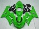 Großhandel Kawasaki ZX6R Motorrad Verkleidung 2005-2006 - Grun