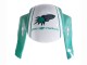 Großhandel Honda CBR600RR Motorrad Verkleidung 2005-2006 - Hellgrun Weiss Glanzendes Schwarz Joe Rocket