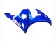 Großhandel Yamaha YZF R6S Motorrad Verkleidung 2006-2009 - Blau
