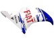 Großhandel Yamaha YZF 600 R6 Motorrad Verkleidung 2005 - Weiss Blau Dunlop Fiat Motul