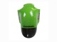 Großhandel Kawasaki ZX12R Motorrad Verkleidung 2002-2006 - Grun Glanzendes Schwarz Elf Touch4 Monster