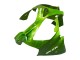 Großhandel Kawasaki ZX9R Motorrad Verkleidung 2000-2001 - Grun Flamme