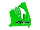 Großhandel Kawasaki ZX9R Motorrad Verkleidung 2000-2001 - Grun