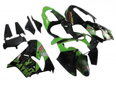 Großhandel Kawasaki ZX9R Motorrad Verkleidung 2002-2003 - Grun Schwarz Playboy