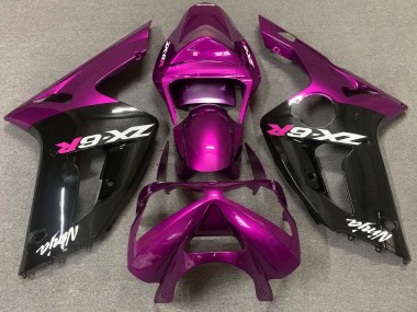 Großhandel Kawasaki ZX6R Motorrad Verkleidung 2003-2004 - Lila Glanzendes Schwarz