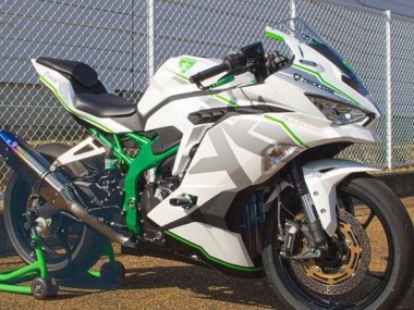 Großhandel Kawasaki ZX4R ZX-4RR Motorrad Verkleidung 2019-2025 - Weiss Silber Grun