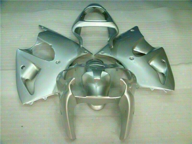 Großhandel ZX6R 2000-2002 Motorrad Verkleidungen - Silber Großhandel ZX6R 2000-2002 Motorrad Verkleidungen - Silber