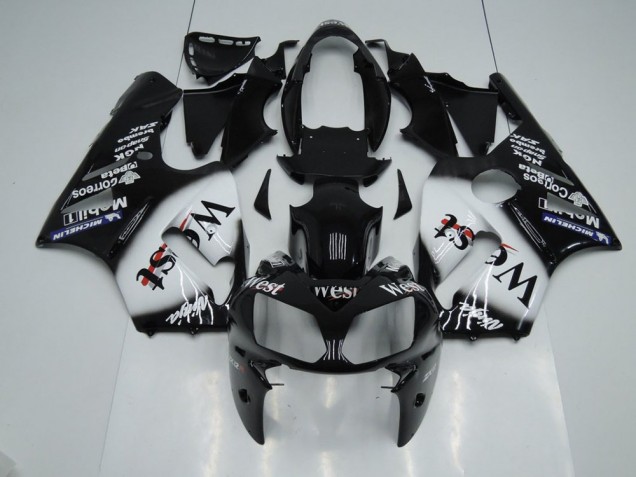 Großhandel ZX12R 2002-2006 Motorrad Verkleidungen - West