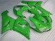 Großhandel ZX6R 2005-2006 Motorrad Verkleidungen & Plastik - Grün Großhandel ZX6R 2005-2006 Motorrad Verkleidungen & Plastik - Grün