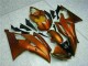 Großhandel R6 2008-2016 Motorrad Verkleidungen - Orange Großhandel R6 2008-2016 Motorrad Verkleidungen - Orange