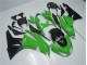 Großhandel ZX6R 2009-2012 Motorrad Vollverkleidung - Grün Schwarz Großhandel ZX6R 2009-2012 Motorrad Vollverkleidung - Grün Schwarz